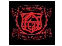 Image for Auxiliary Unit