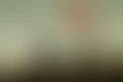 1303072604 mexicatbuff