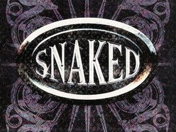 Image for snaked