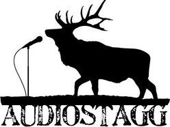 Image for AUDIOSTAGG