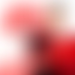 Adobe post 20191106 1527340 6089299991807042