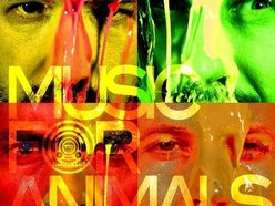 Image for Music For Animals