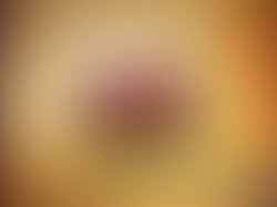 1439402023 365555440308253 9165528943918281403 n