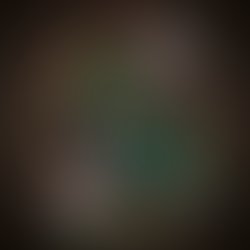 Artist 1501767 1494343603