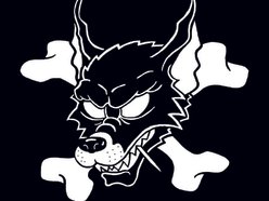 Image for The Young Werewolves
