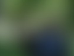 1362595685 3592134683756 2788528 n