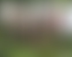 1396977580 band 109 copy