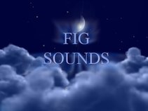 FIGSOUNDS