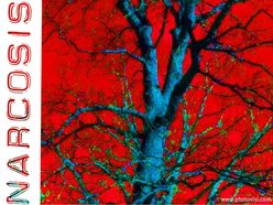 Image for Narcosis