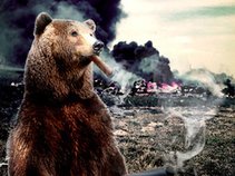 BROWNSTONEBEAR