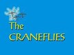 The Craneflies