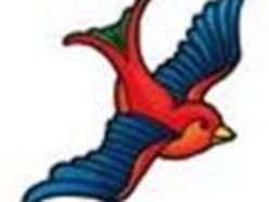Image for THE TRAVELING BLUEJAYES