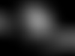 3b291026 4359 448d a334 cc0a94086a71 1880 0000027ff2a44ec5