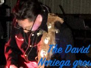 David Noriega Group