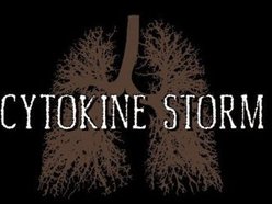 Image for Cytokine Storm