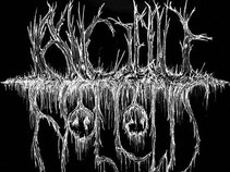 Ancient Hollows