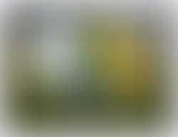 1338546561 1288056042522 1263815766 30652956 5306751 n