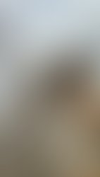 10401580 693372897384385 957657705200994268 n