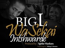 BigL WaSekai