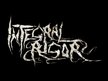 Integral Rigor
