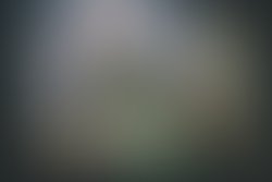 20170417 nicholas wells sm 201