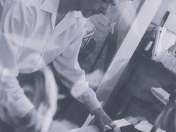 Image for Lucster