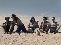 The Offshore Regulars