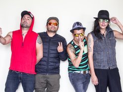 Viernes Verde