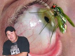 Image for Adamms