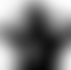 Artist 1522770 1495305975