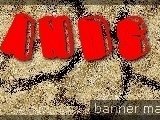 Local Bands