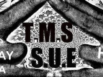 T-MONEE[T.M.S]