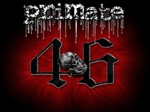 Primate 46