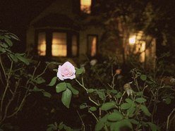 ReverbNation profile picture for @cigarette