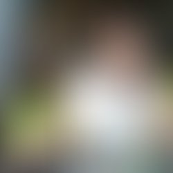 1435308954 artist 1527043 1435308935