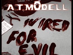 Image for A.T.Mödell
