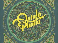 Quinta Planta