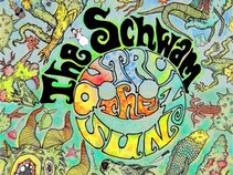 The Schwam