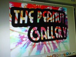 Image for The Peanut Gallery