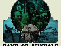 Band of Annuals