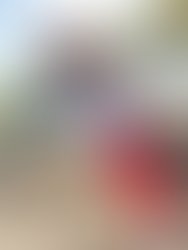 Received 193901835647764