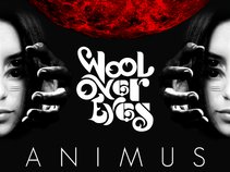 Wool Over Eyes