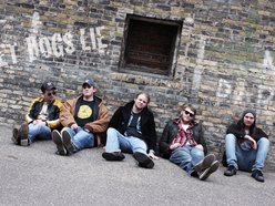 Image for Let Dogs Lie