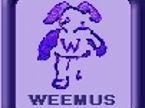 Weemus Studio