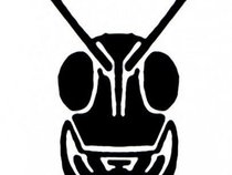 The Grasshopper