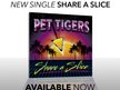 Pet Tigers