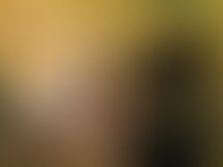 1342550032 pic s 308