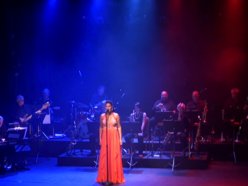Image for Alana Shirley