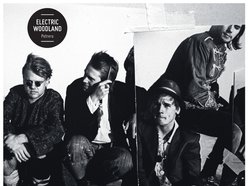 Electric Woodland