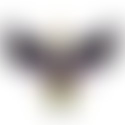 17b0e222 50c8 483c b15a 3e245b48de52